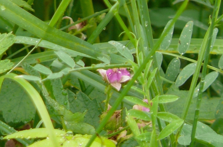 P1430636.JPG