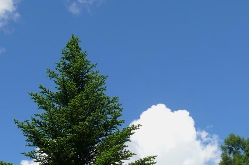 P1430682.JPG