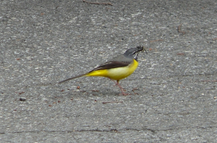 P1430723.JPG