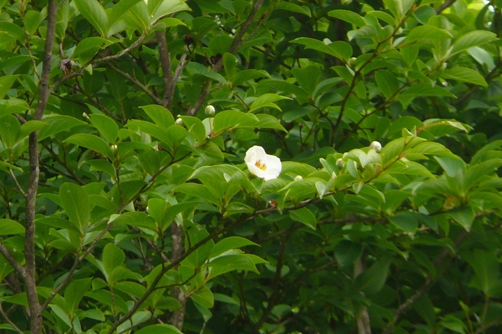 P1430724.JPG