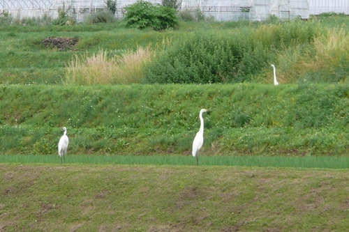 P1430783.JPG