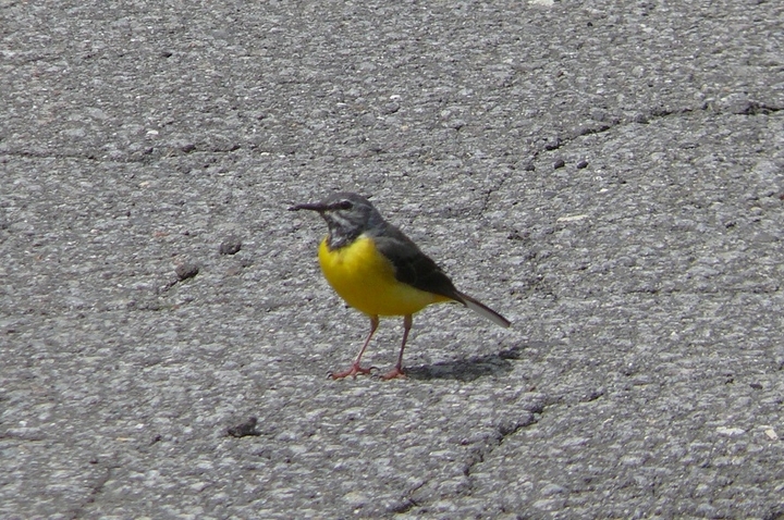 P1430785.JPG