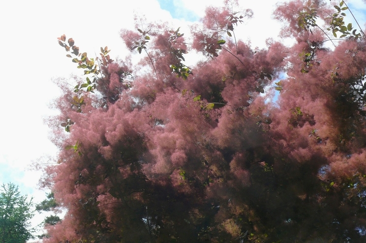 P1430827.JPG