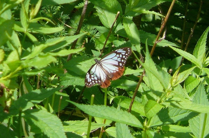 P1430843.JPG
