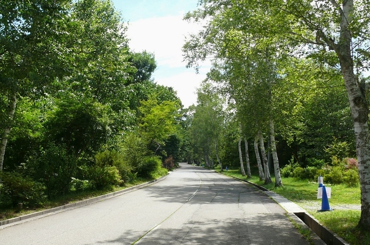 P1430853.JPG