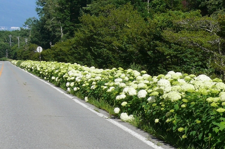 P1430879.JPG