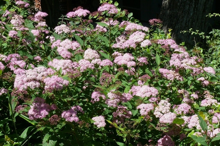 P1430896.JPG