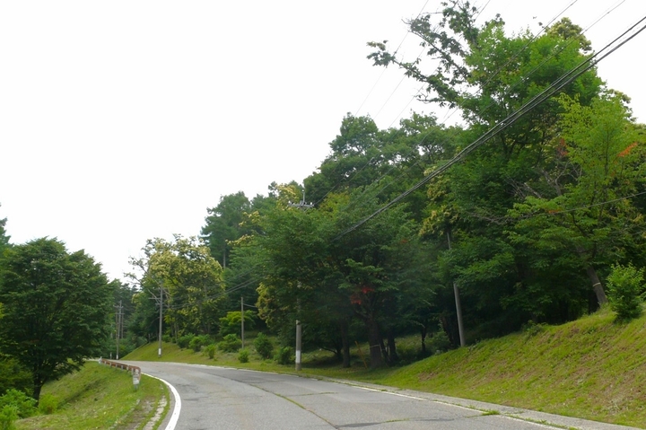 P1430926.JPG