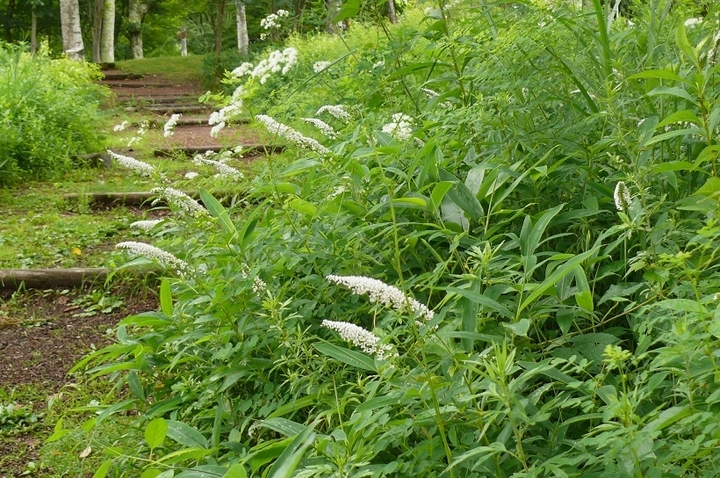 P1440001.JPG