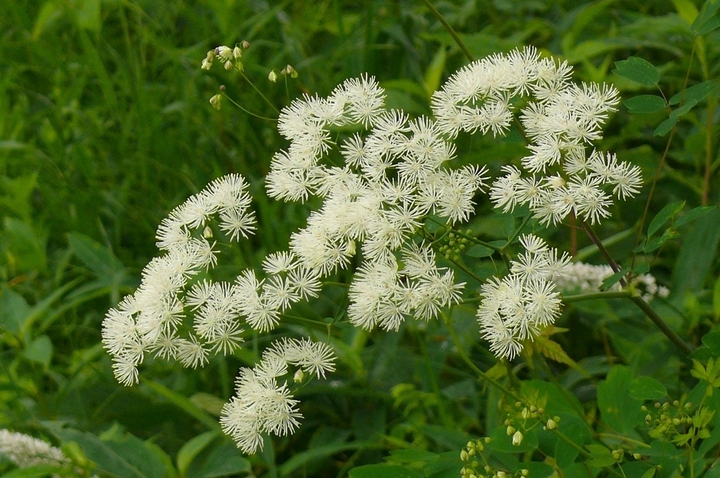 P1440004.JPG