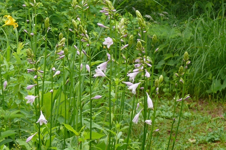 P1440005.JPG