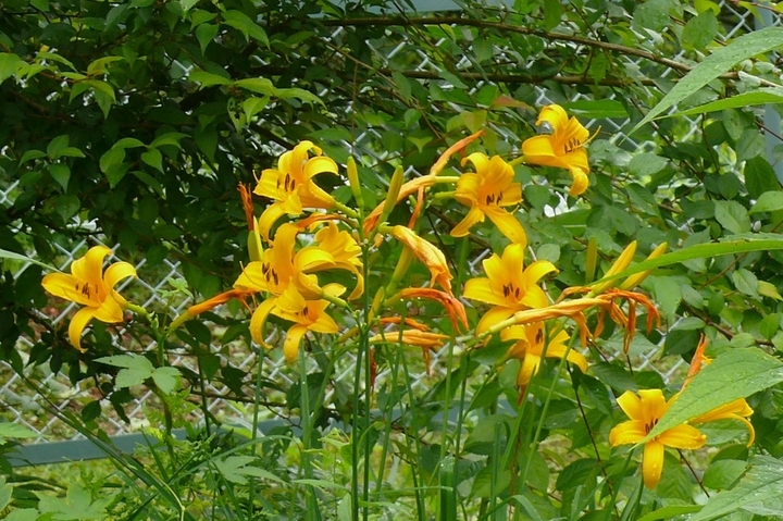 P1440024.JPG