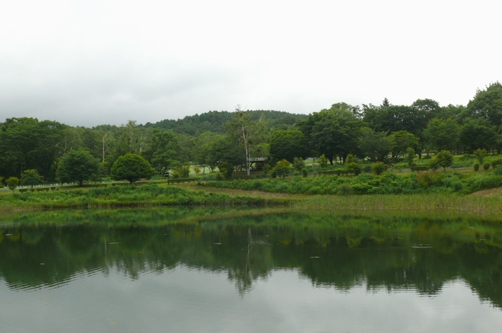 P1440133.JPG