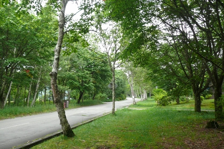 P1440140.JPG