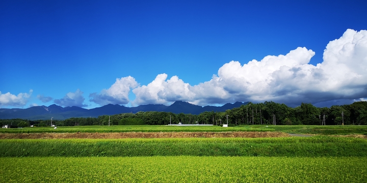 IMG_20240817_160810.jpgのサムネイル画像