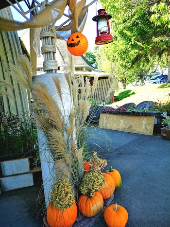 IMG_20240916_103749.jpg