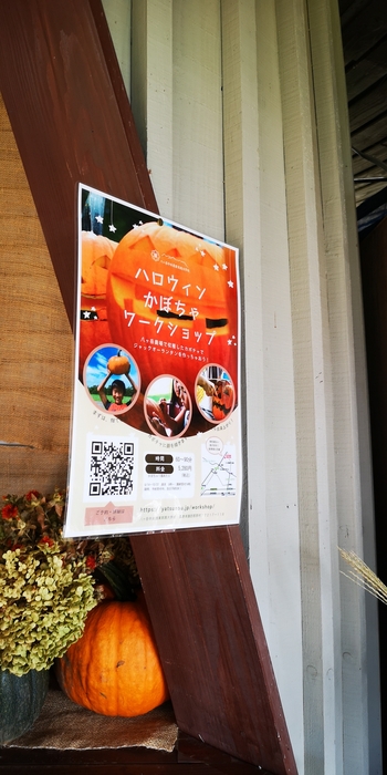 IMG_20240914_151418.jpg