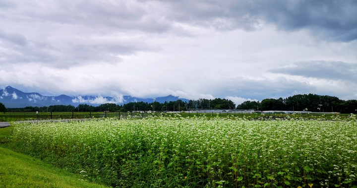 IMG_20240831_115926~2.jpg