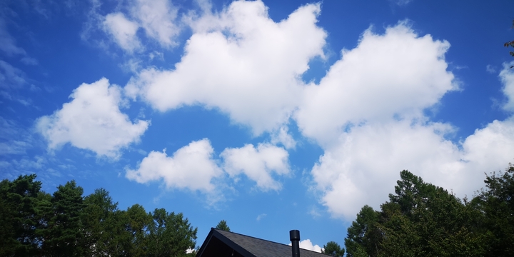IMG_20240908_132253.jpg