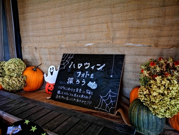 IMG_20240914_145354.jpg
