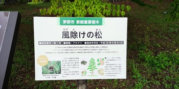 IMG_20240831_114249.jpg