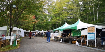 IMG_20241004_124654.jpg