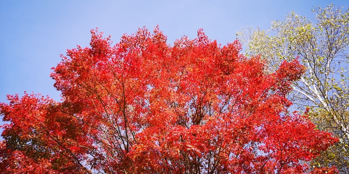 IMG_20241022_130815.jpg