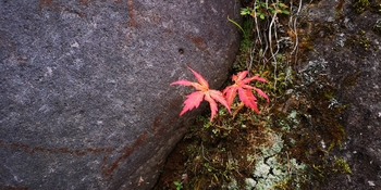 IMG_20241026_132541.jpg