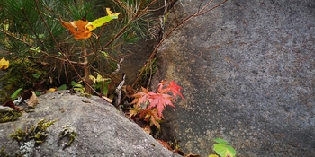 IMG_20241026_132623.jpg