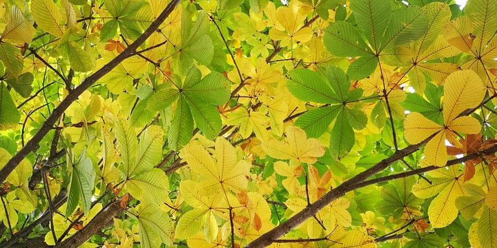 IMG_20241027_130200.jpg
