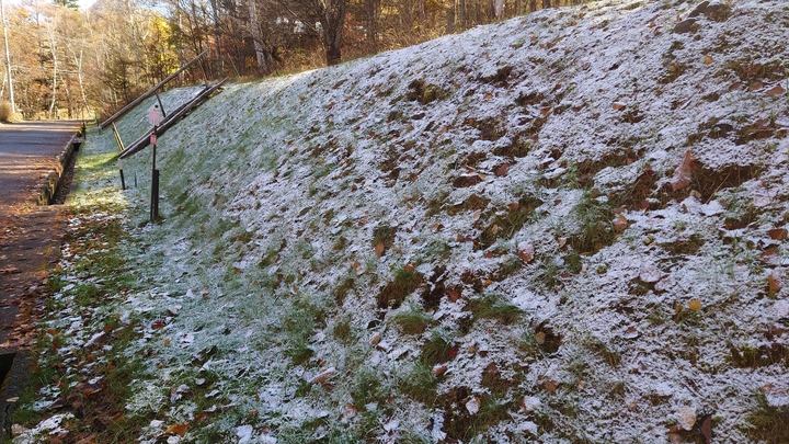 20241107_110146.JPG