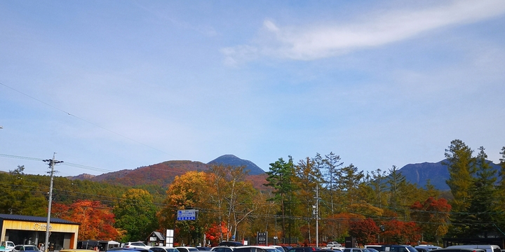IMG_20241031_204157.jpg