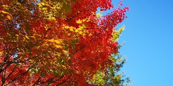 IMG_20241104_125840.jpgのサムネイル画像