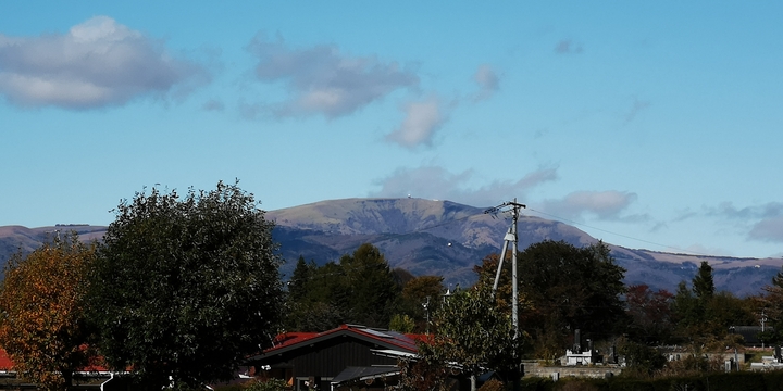 IMG_20241107_125957.jpg