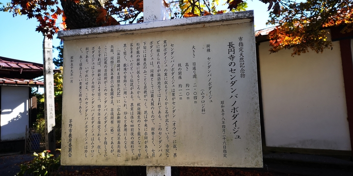 IMG_20241107_132328.jpg