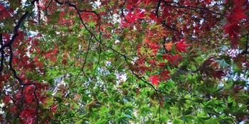 IMG_20241107_133454.jpg