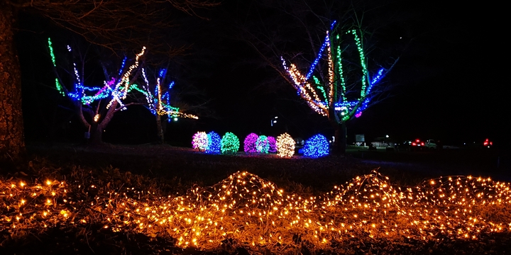 IMG_20241125_180655.jpg
