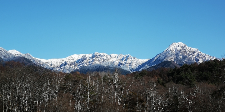 IMG_20241202_121615.jpg