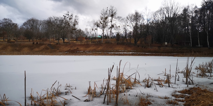 IMG_20241231_143046.jpg