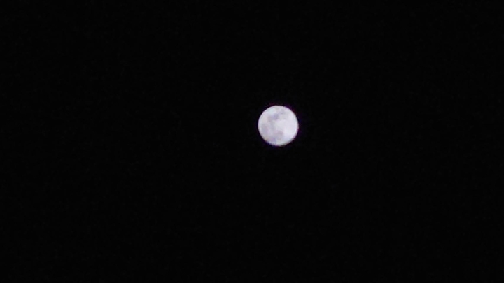 1736928569056.jpg