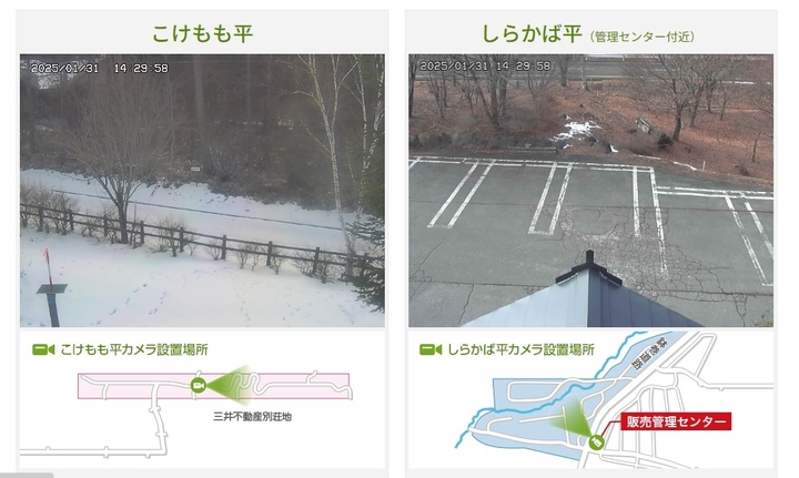 20250131livecam.jpg