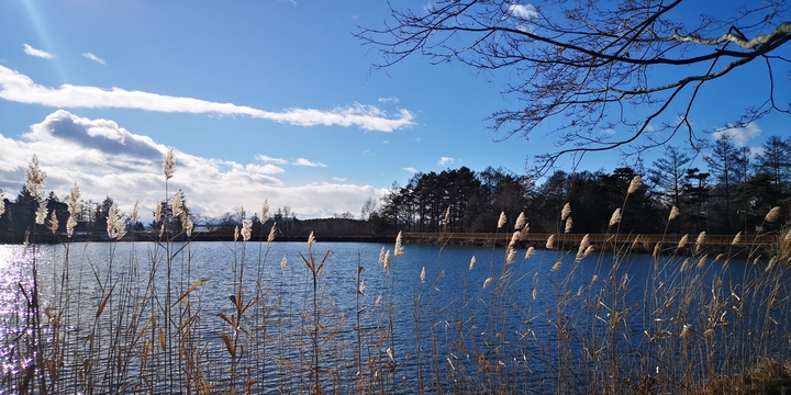 IMG_20250104_140316.jpg