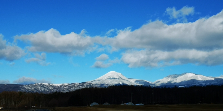 IMG_20250110_130144.jpg