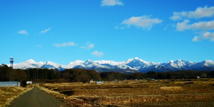 IMG_20250110_152725.jpg