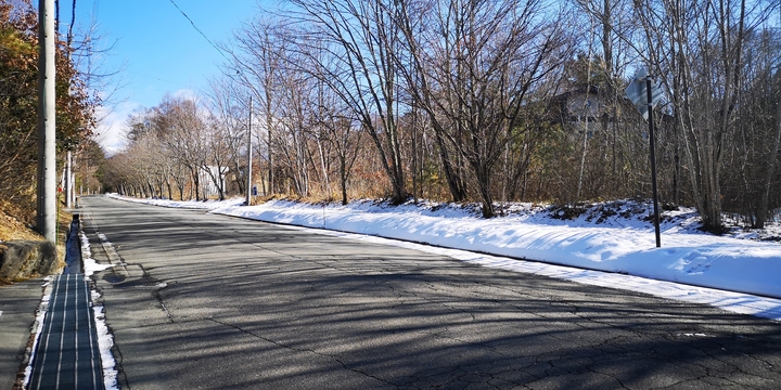 IMG_20250117_130035.jpg