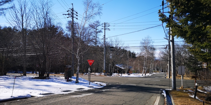 IMG_20250117_130039.jpg