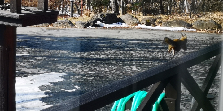 IMG_20250120_113526.jpg