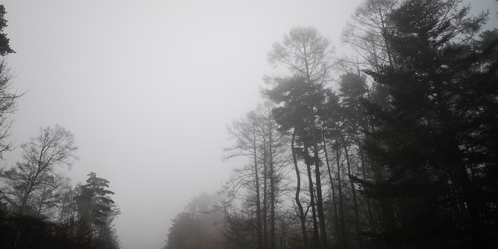 IMG_20250121_083359.jpg