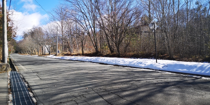 IMG_20250126_125315.jpg