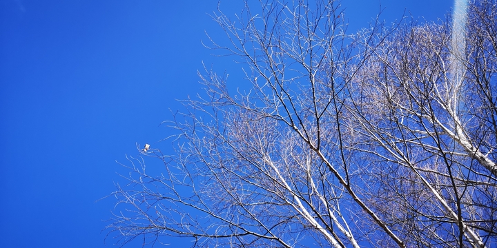 IMG_20250126_125346.jpg